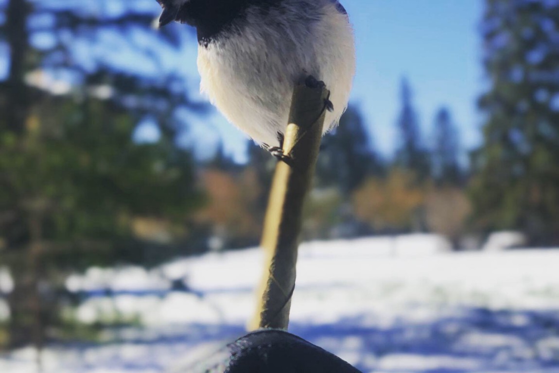 Baby Jay Club 专辑发布会