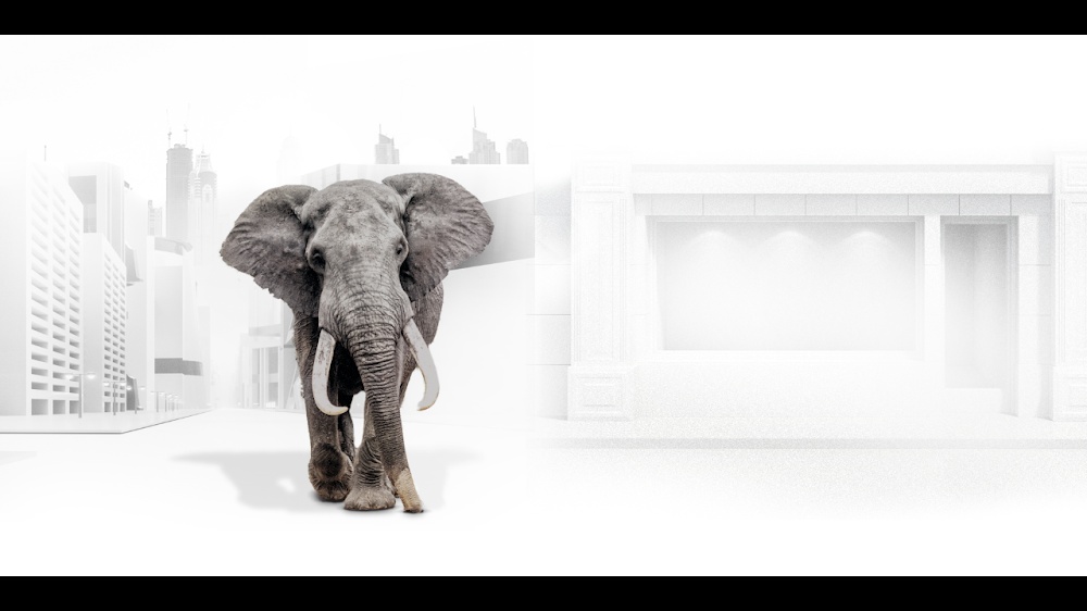 Billyard Insurance Group – Calgary Northwest 保险经纪人