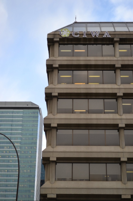 Canadian Immigrant Women’s Association 社会服务组织