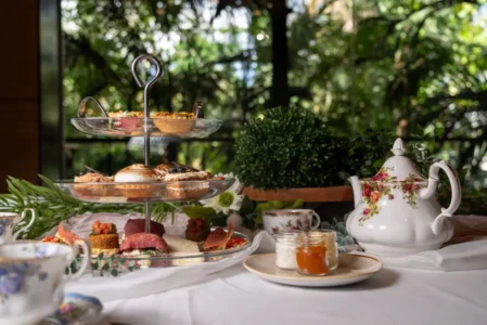 High Tea at the Zoo! 在动物园享用高级下午茶！