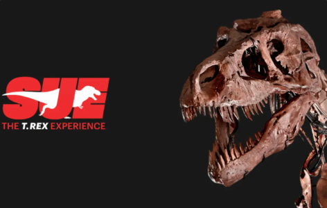 SUE: THE T.REX EXPERIENCE 苏埃：特雷克斯体验